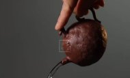 《大吉》红降坡泥宜兴紫砂壶工艺美术员全手工瓜器茶具