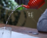 《筋纹笑樱》