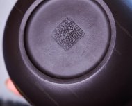 金龙西施