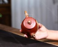 《一叶一菩提》