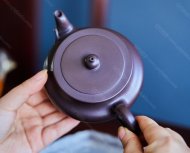 扁樱竹