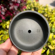 鱼化龙