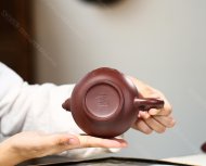 祥麟瑞应