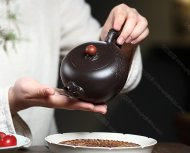 龙珠