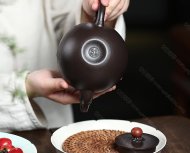 龙珠