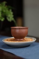 《蜗居杯》