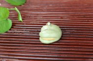 《蚕豆喷水青蛙》宜兴紫砂壶手工紫茶壶茶具
