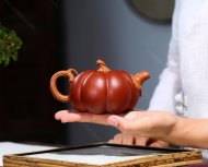 轻胚南瓜壶