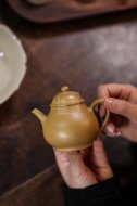《高潘壶》