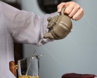 《筋纹疾风》