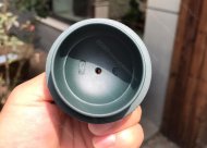 筋纹一粒珠