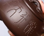 龙瓢