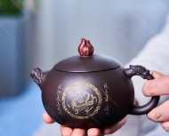 金龙西施