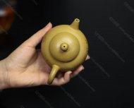 巨轮珠