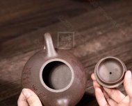 《石瓢纵横四海》