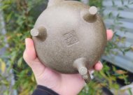 燮龙拱璧