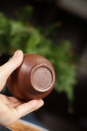 《蜗居杯》
