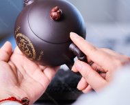 金龙西施