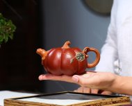 轻胚南瓜壶
