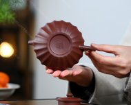 筋纹合欢