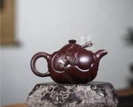 《鱼化龙》