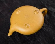 汉棠石瓢