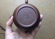 潘壶