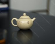 巨轮珠