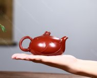 金玉荷韵