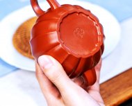 筋纹狮球
