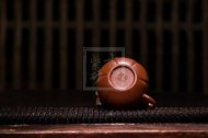 《茄瓜（小）》宜兴紫砂壶助理工艺美术师手工刻绘茶壶家用茶具大红袍筋纹壶