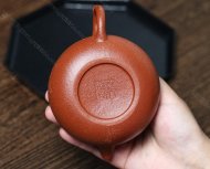 龙珠
