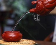 《鱼化龙套组》