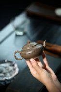 《扁樱》