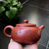 墩朴
