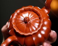 《筋纹菱花》