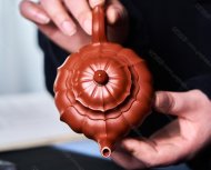 菱花笑樱