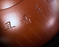 文旦