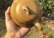 汉棠石瓢