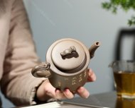 狮之回眸