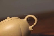 《小金瓜》宜兴紫砂壶助理工艺美术师纯手工茶具花器泡茶器本山段南瓜