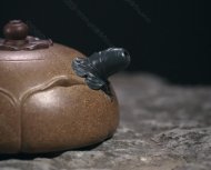 佛莲禅心