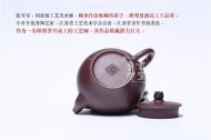 《荷韵芬芳》