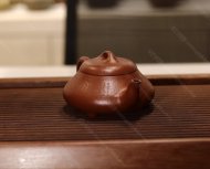 汉棠石瓢