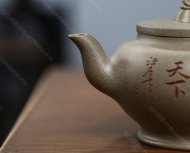 饮龙