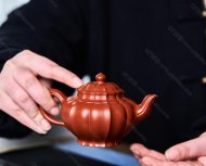 菱花笑樱