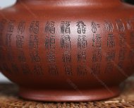 道洪掇只