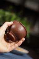 《蜗居杯》
