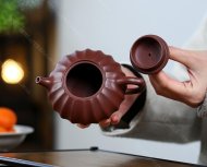 筋纹合欢