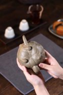 《荷叶青蛙》